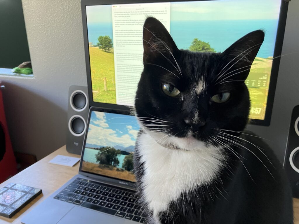 Mira, a tuxedo cat, is looking straight at the camera between the photographer and a computer open to a draft of this newsletter. The clock, just visible on screen, shows that it's 4:57, three minutes before she usually eats.