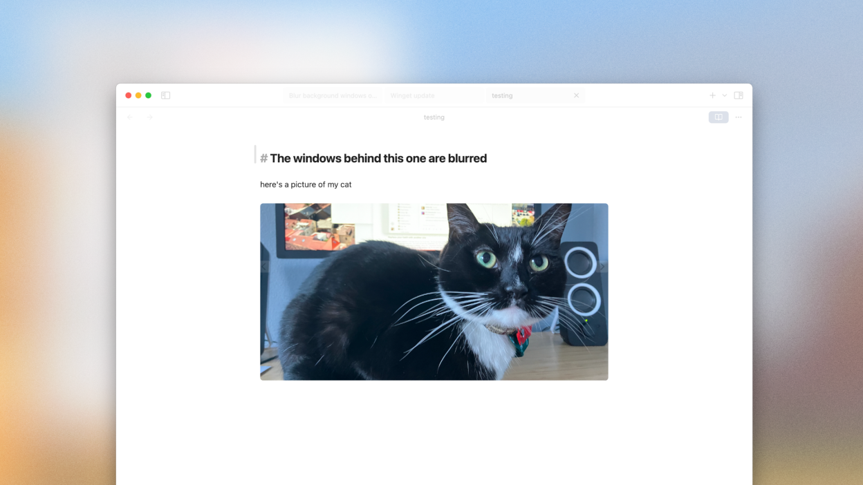 A screenshot of a text editor on Mac—everything behind it is blurred out. There's a picture of my cat, Mira, in the screenshot.